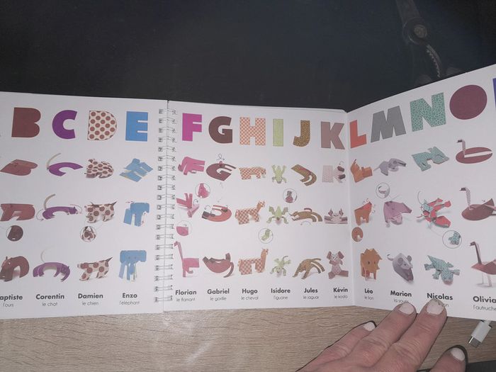 livre alphabêtes - 26 lettres prédécoupées à plier - photo numéro 6