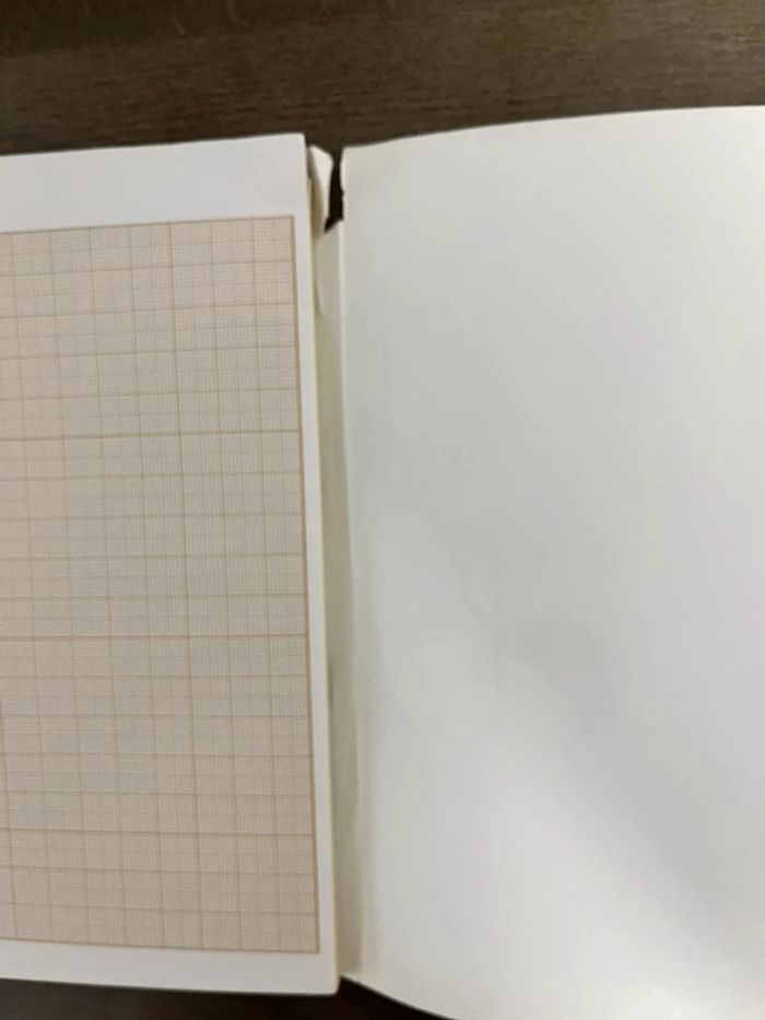 1 cahier de dessin millimétré - photo numéro 3