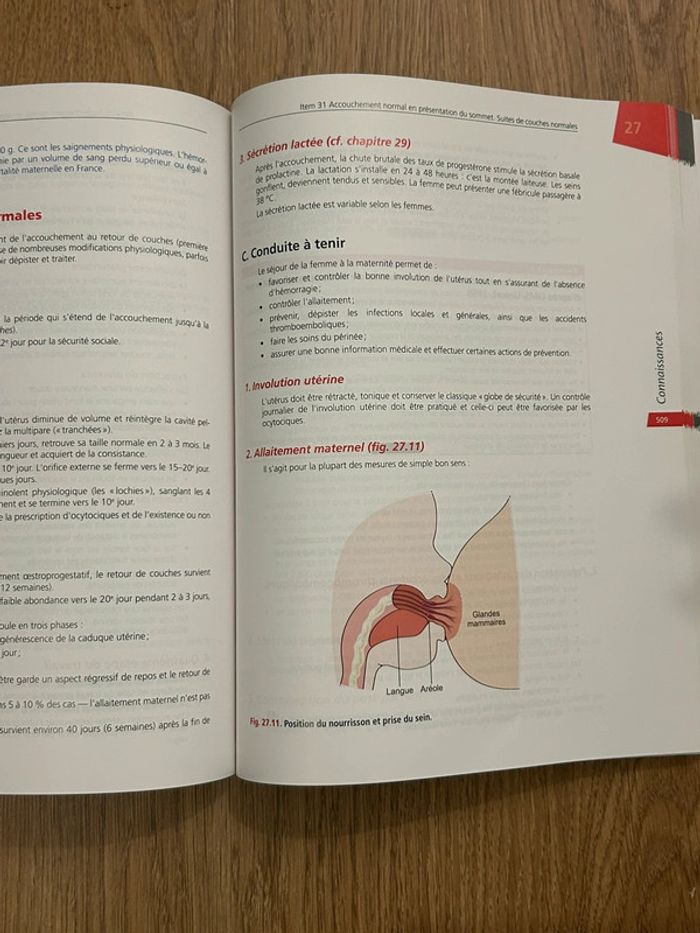 Référentiel gynécologie obstétrique EDN - photo numéro 6