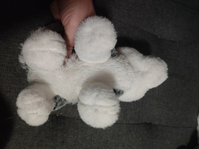 Peluche husky - photo numéro 3