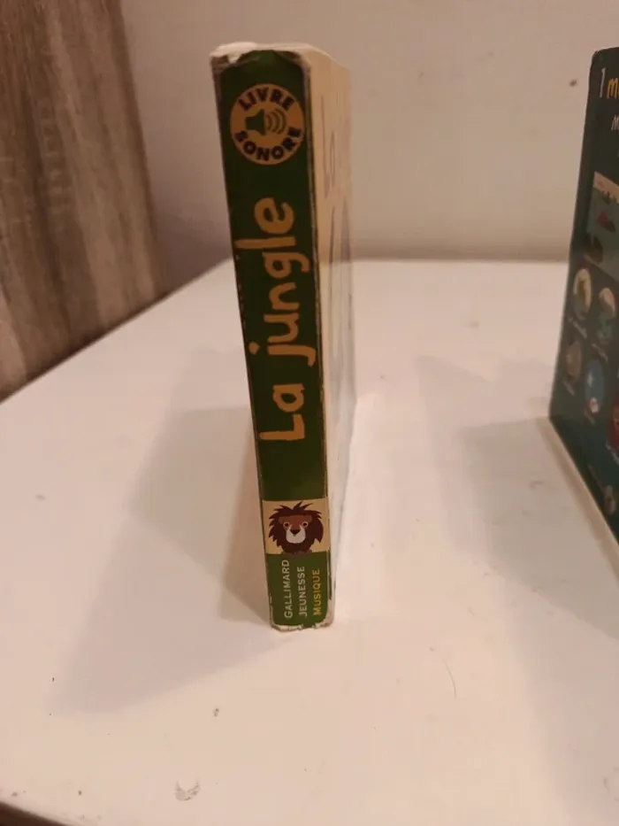 Lot de 3 livres sonores 4/5 pastilles fonctionnent - photo numéro 12