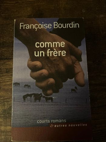 Comme un frère
