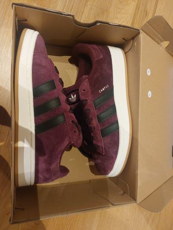 Basket adidas campus