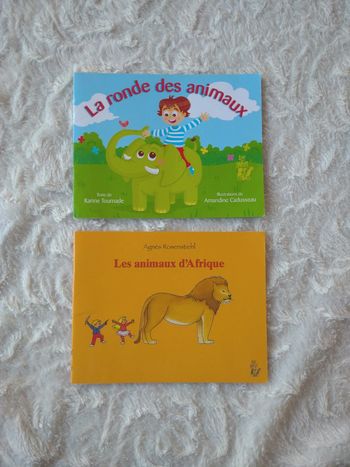 Lot de 2 livres Lire c'est partir La ronde des animaux + les animaux d'Afrique