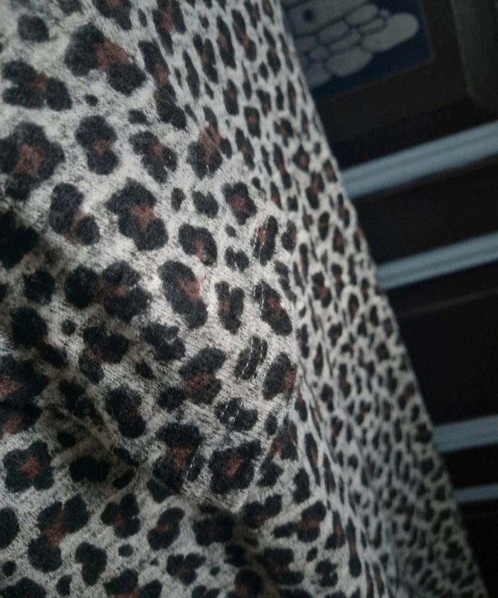 Robe à motifs léopard - photo numéro 6
