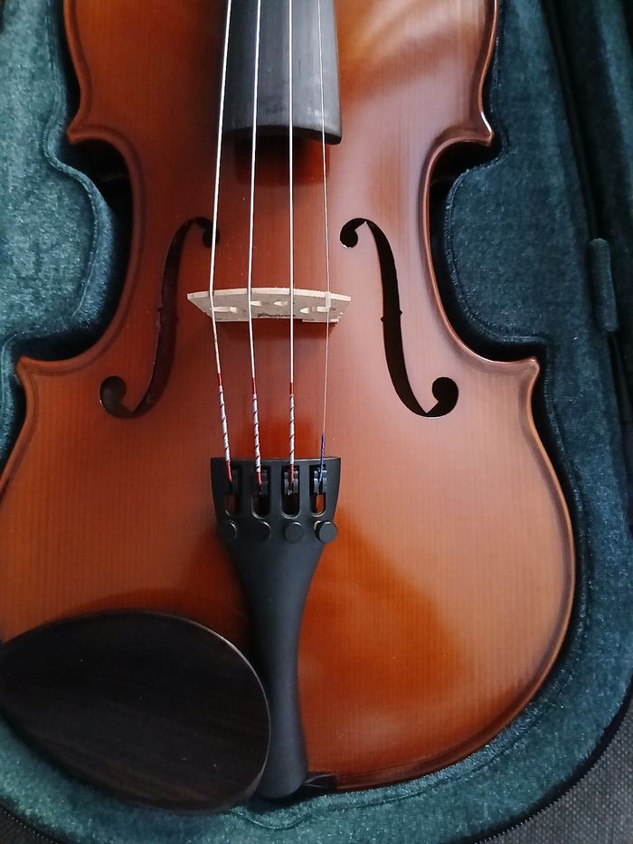 violon prima P200 4/4 - photo numéro 5