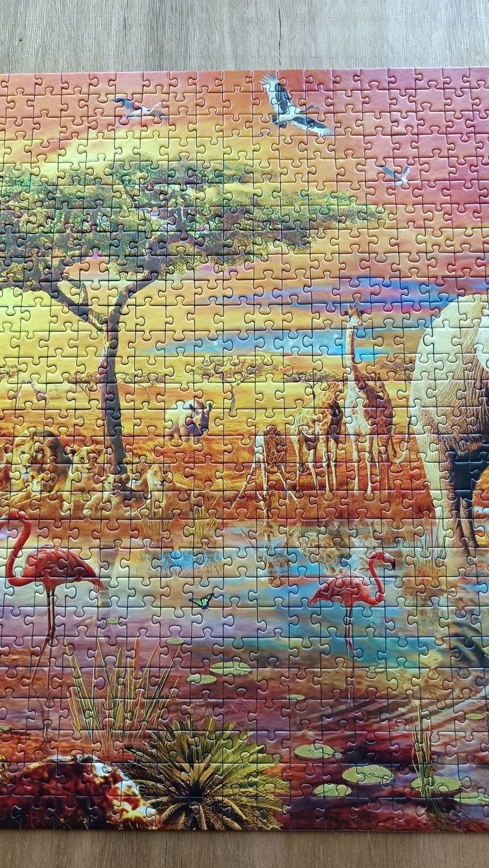 Puzzle Savane 🦁🦓 - photo numéro 4