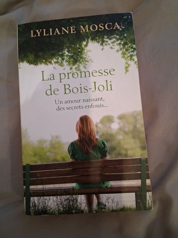 Livre la promesse du Bois-Joli 