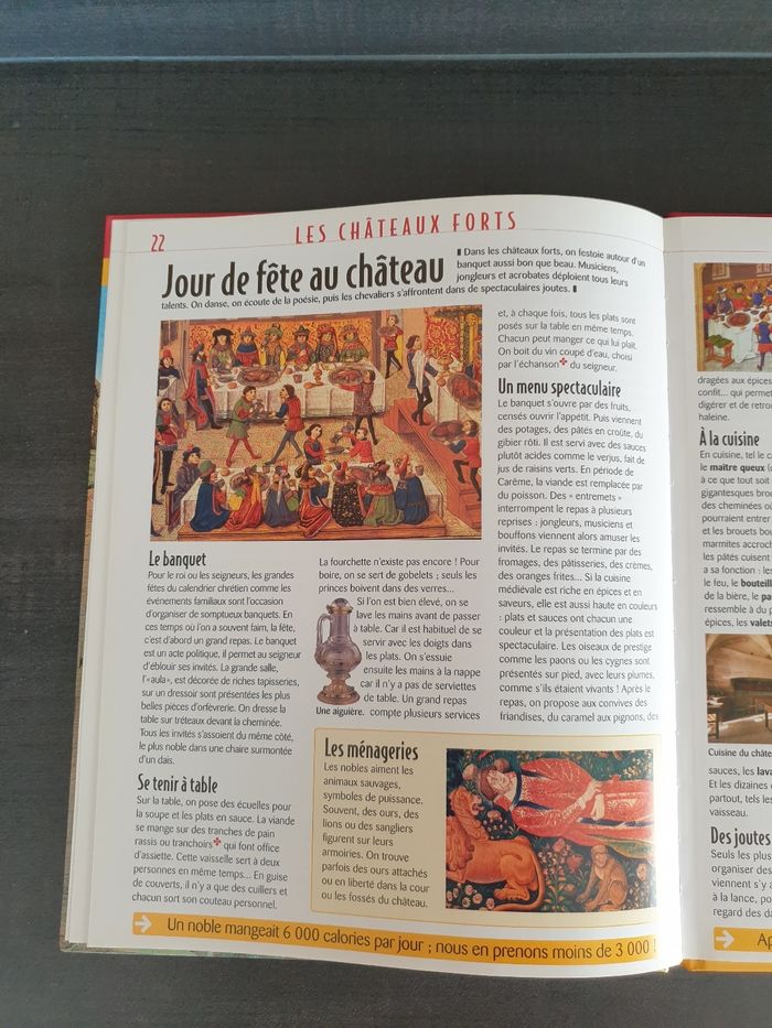 Livre les châteaux forts - photo numéro 2