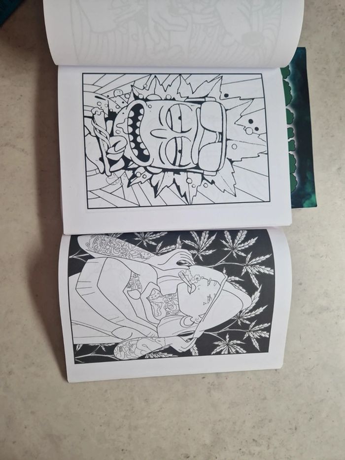 Coloriages pour adulte - photo numéro 5