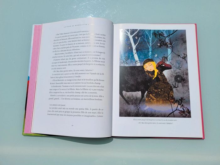 Très beau livre grand format Le histoires de Cendrillon racontées dans le monde - photo numéro 3