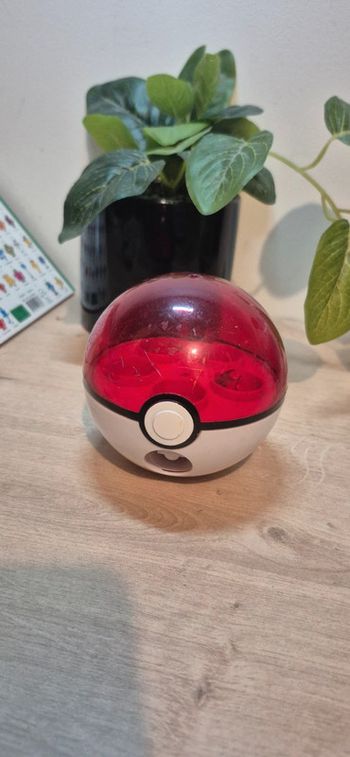 Lanceur pokemon