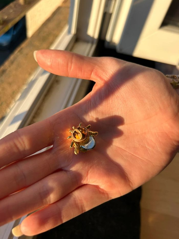 Broche coccinelle - photo numéro 3