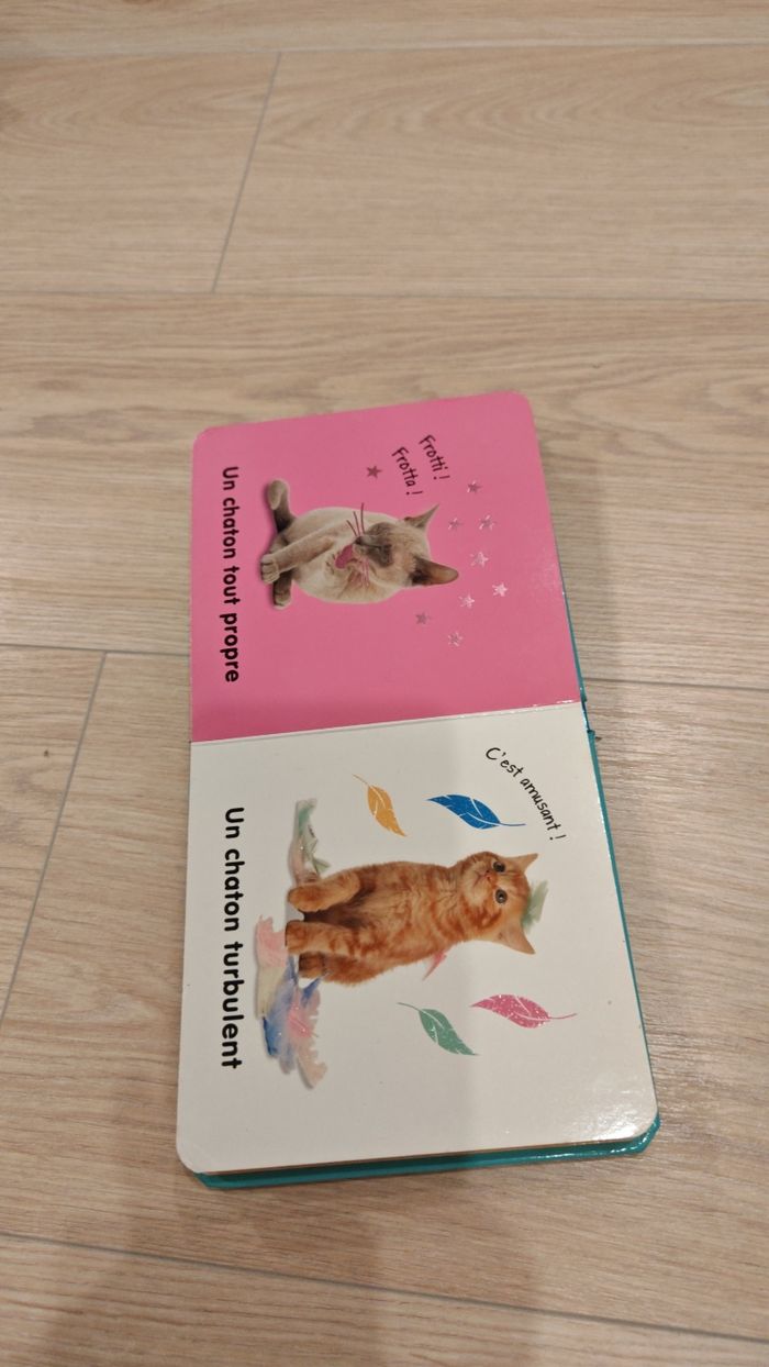 Livre Les chatons à toucher - photo numéro 5