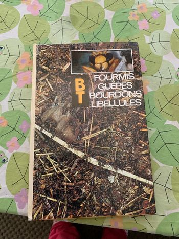 Fourmis guêpes bourdons libellules