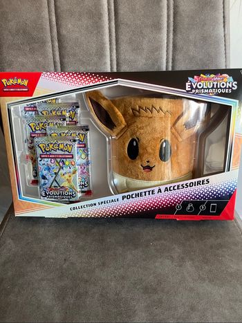 Coffret Pochette Evoli