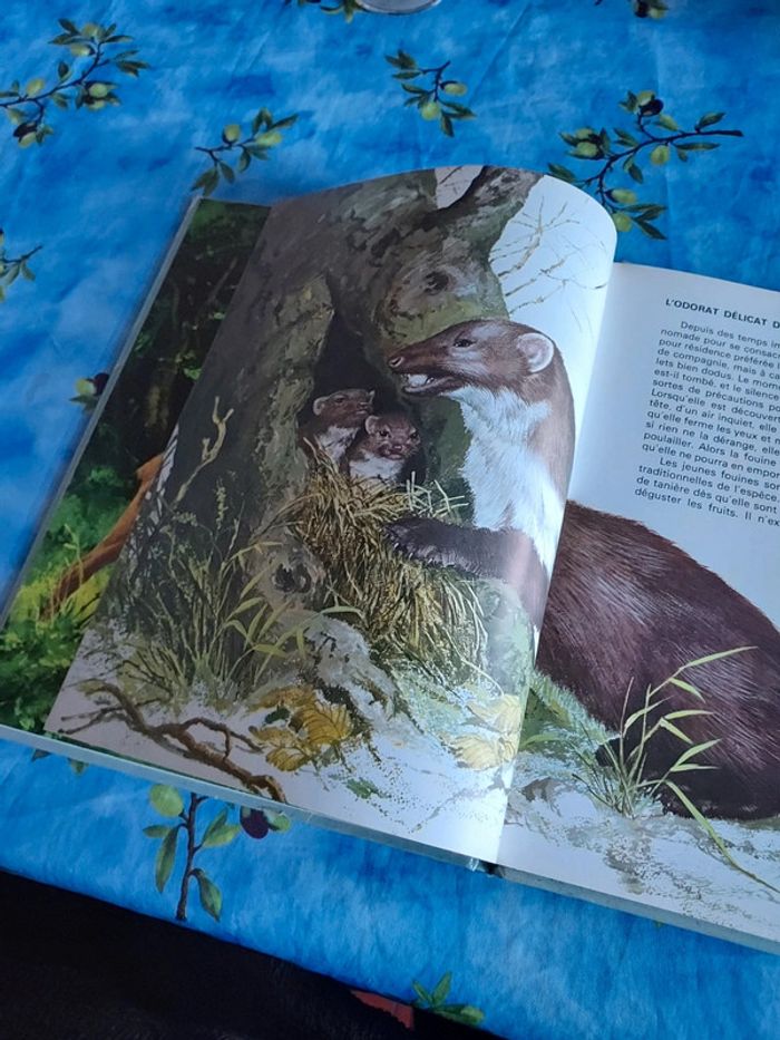 Bande dessinée pour enfant Les animaux des bois - photo numéro 4