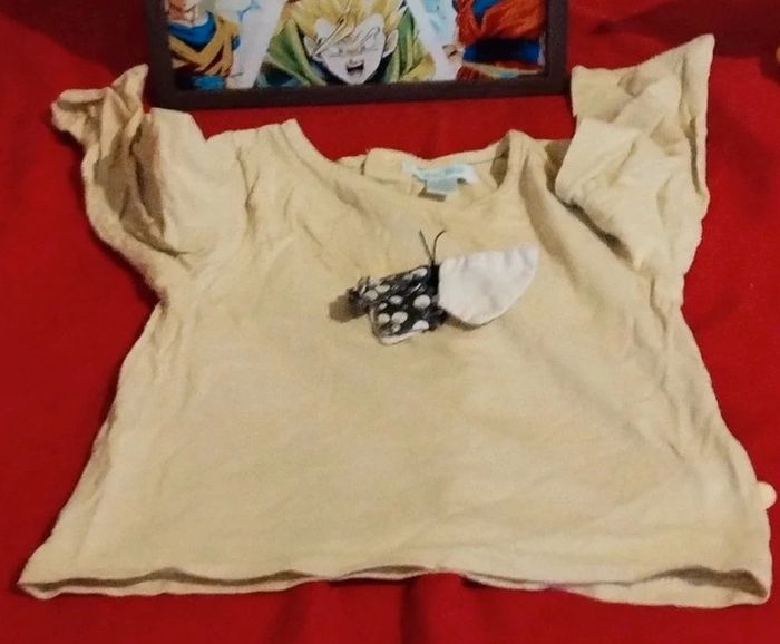 Tee shirt manches longues - photo numéro 2