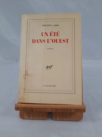Philippe Labro, Un été dans l'ouest,C8