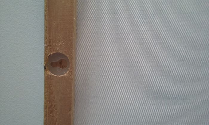 Toile lion sur cadre - photo numéro 5