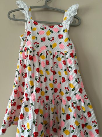 Robe fruits