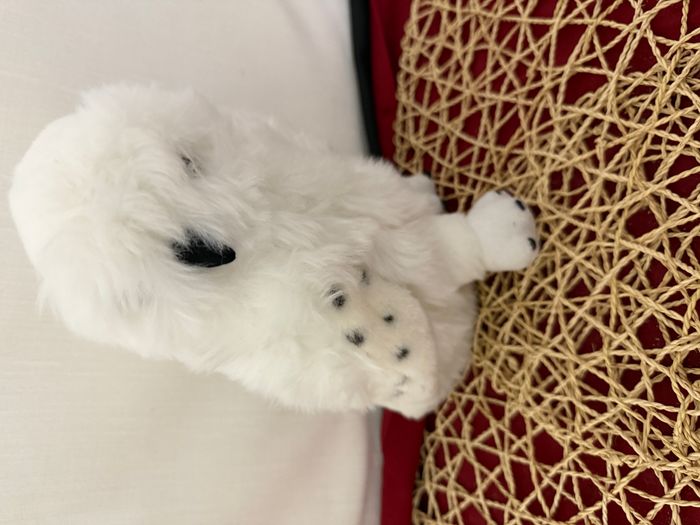 Peluche Hedwig - Harry Potter - photo numéro 4