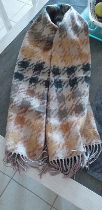 Écharpe plusieurs couleurs