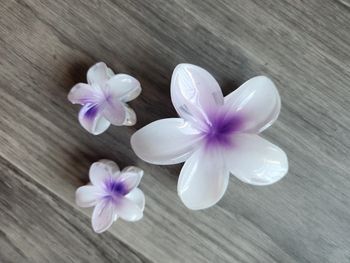 Pinces cheveux fleur des iles violette