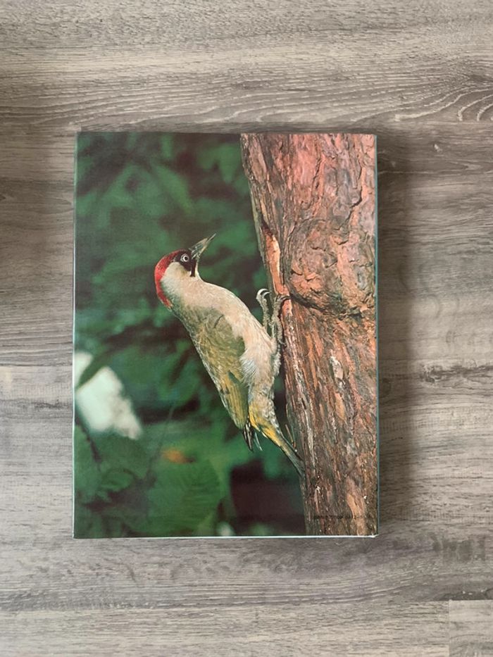 Le monde fascinant des oiseaux - photo numéro 2