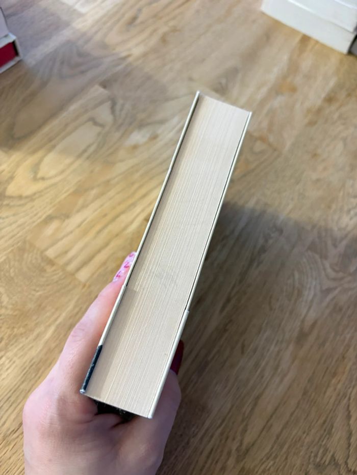 Livre la fille de Brooklyn - photo numéro 4