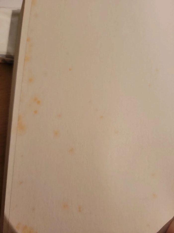 Livre "Aristote et Dante découvrent les secrets de l'univers" de Benjamin Alire Saenz - photo numéro 9