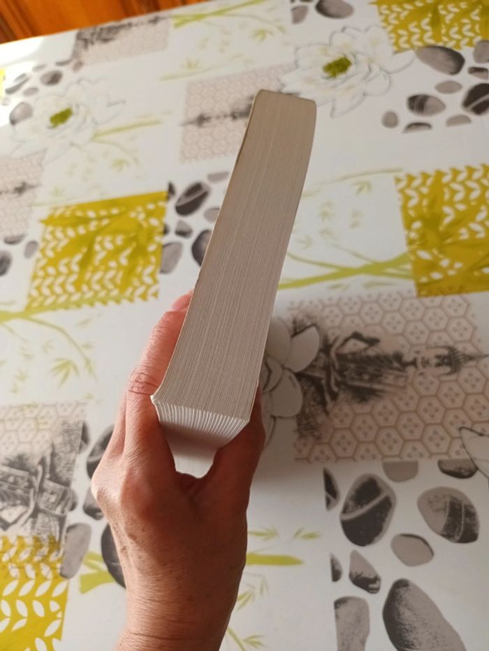 Livre : La baie aux perles de Roxane Dhand - photo numéro 5