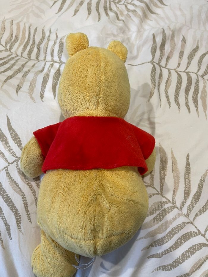 Winnie l’ourson - photo numéro 2