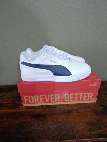 Basket puma 