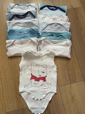 Lot 11 bodies Absorba 