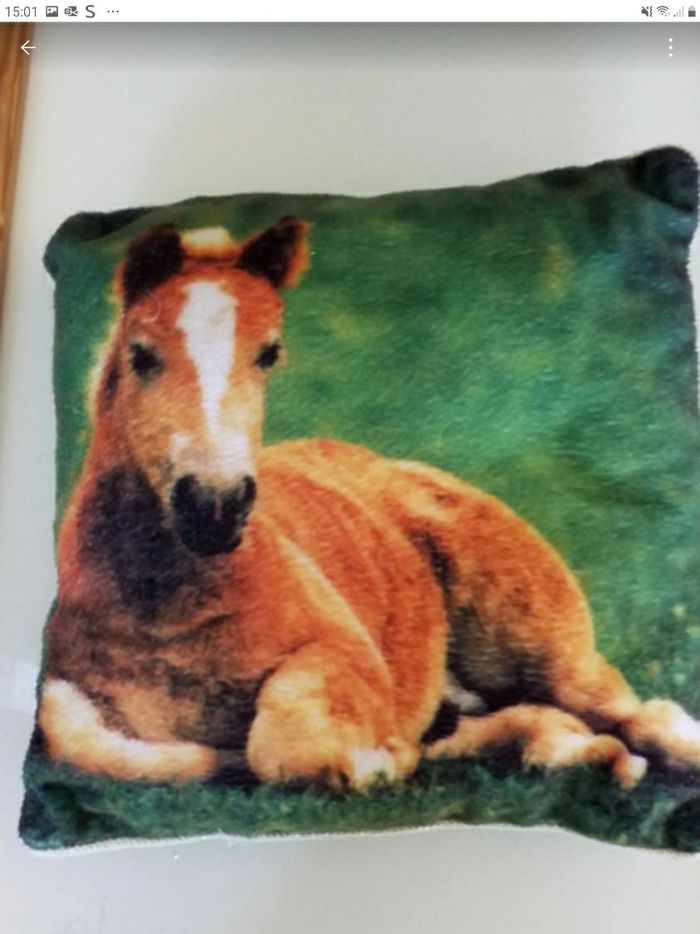 Lot de 3 petit coussin  imprimé 🐎  en cadeau une pochette - photo numéro 4