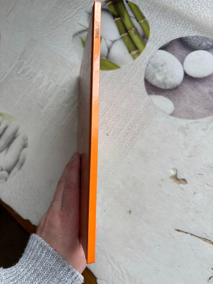 Livre Disney - photo numéro 6