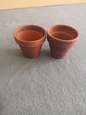 2 pots de fleurs