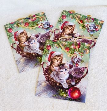 Lot de 3 petites pochettes 3 chats Noel Vitrine Magique