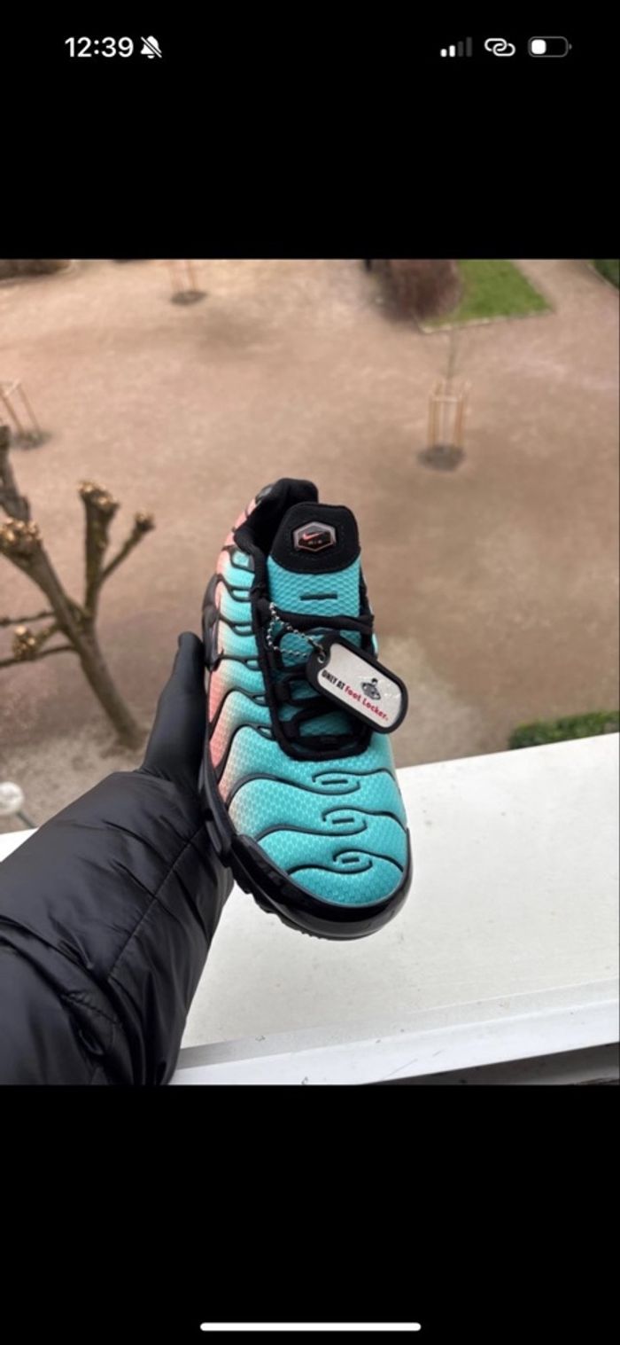 nike tn miami - photo numéro 2