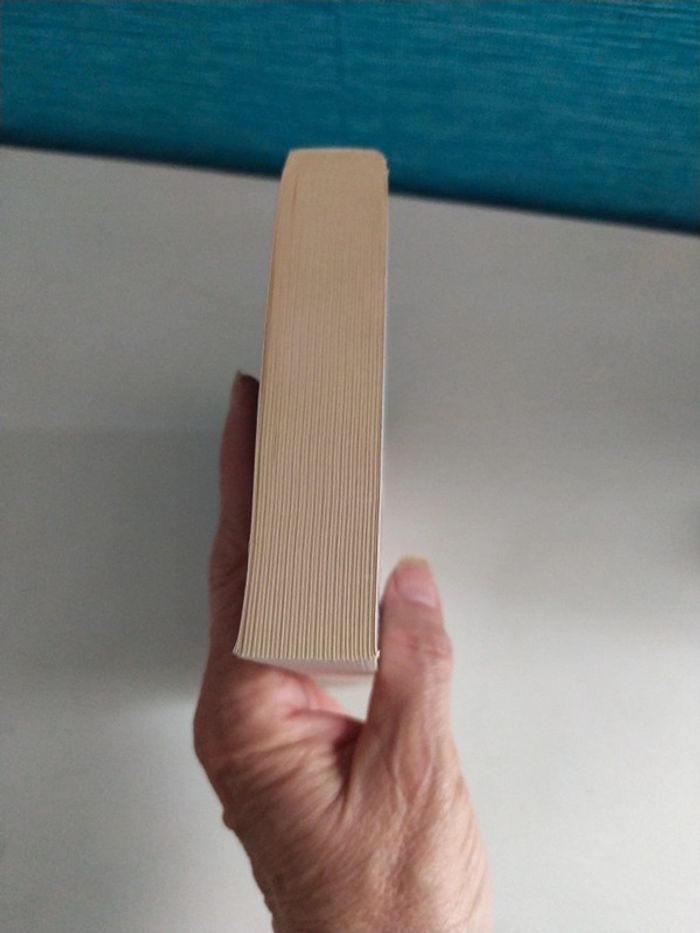 Lundi Mélancolie de Nicci French - photo numéro 4