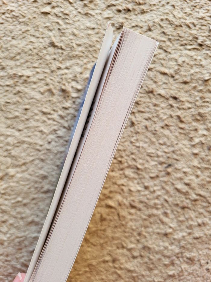 Roman d'amour Prisonnière de Daniel Steel - photo numéro 3