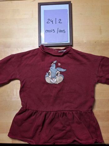 Pull pour fille taille 24 mois Marque Disney baby très bon état