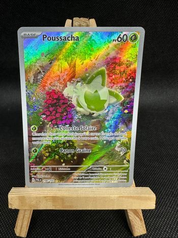 Poussacha 196/193