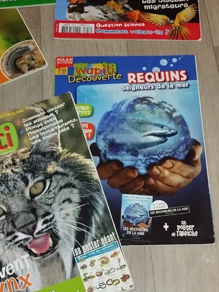 Lot de 7 magazines Wapiti année 2008 L024 - photo numéro 9