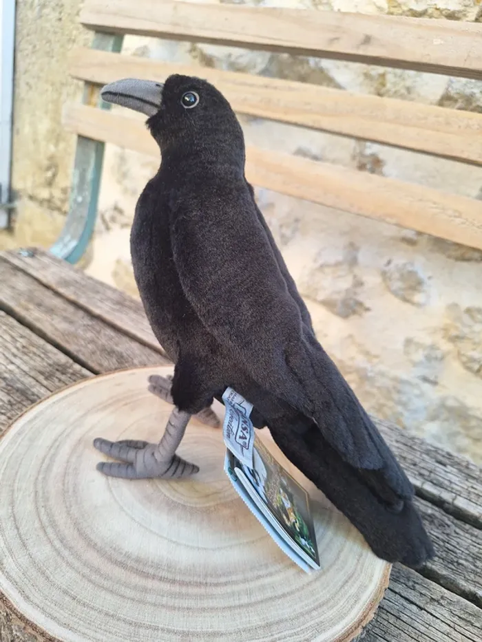 black crow corbus corbeau raven corvo cuervo rabe Hansa anima - photo numéro 5