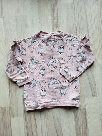 Pull Harry Potter