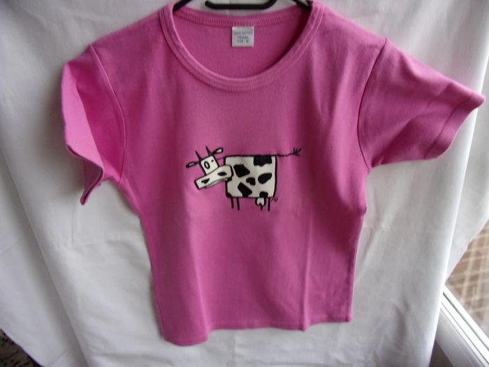 Lot de 2 tee shirt - T.S /38 - photo numéro 2