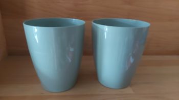 Lot de 2 pots pour plante