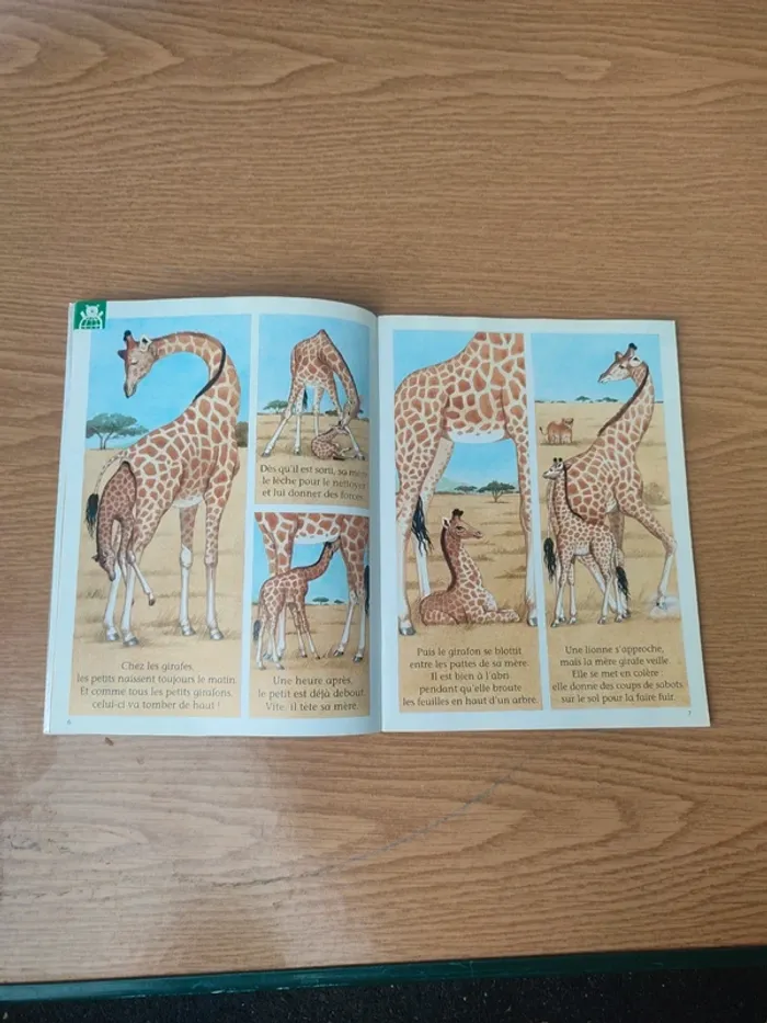 Livre youpi avec bricolo l'écolo protège les bébé arbres - photo numéro 7